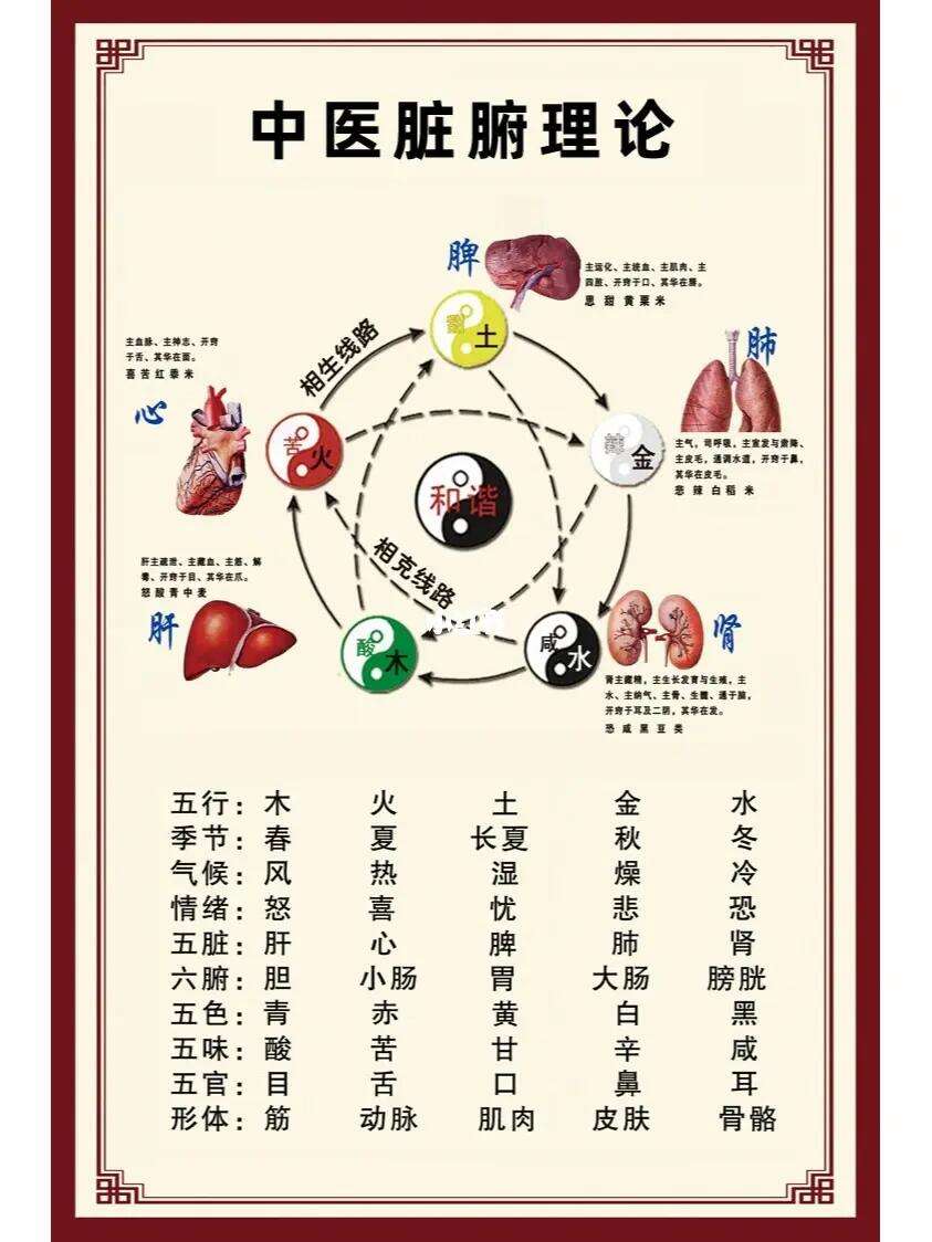 科普展现:五脏对应五行（五脏对应五行五味）