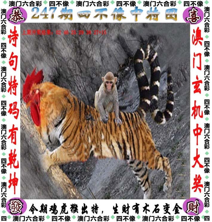 澳门今晚四不像图片大全