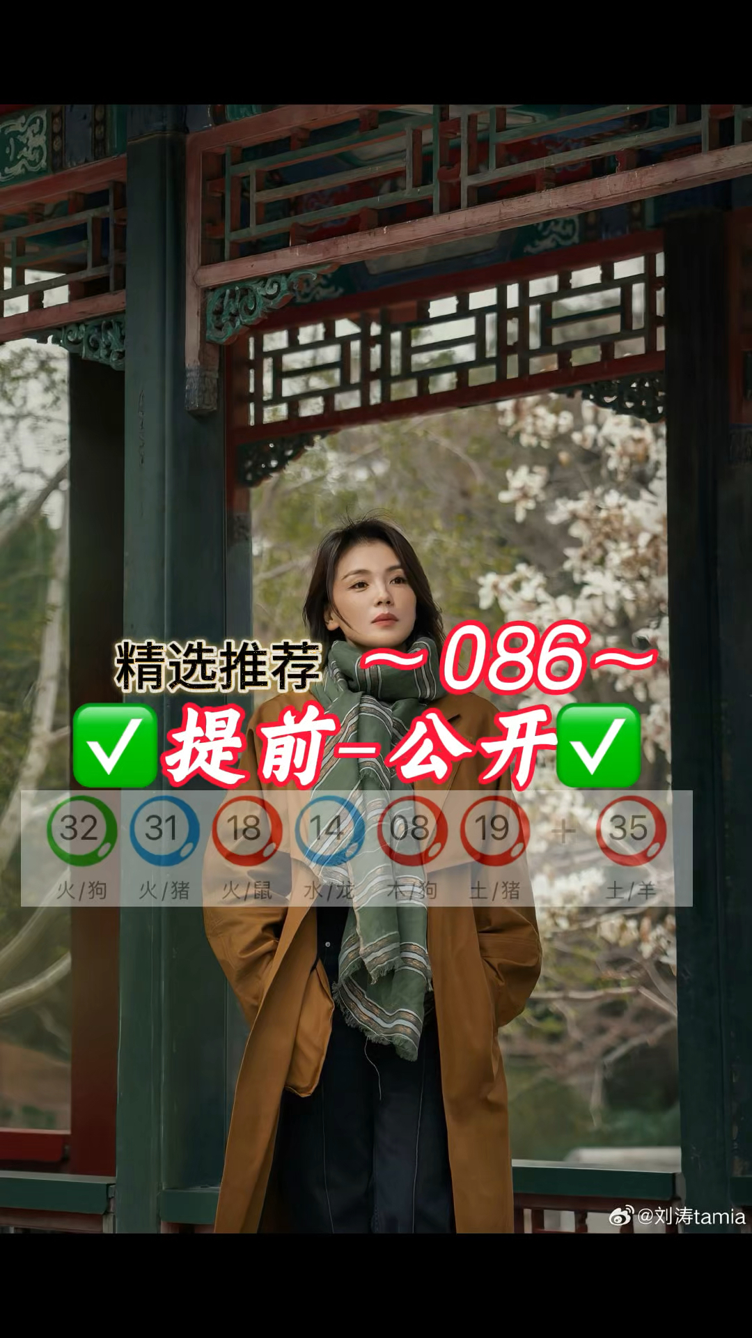 产品中心 第12页