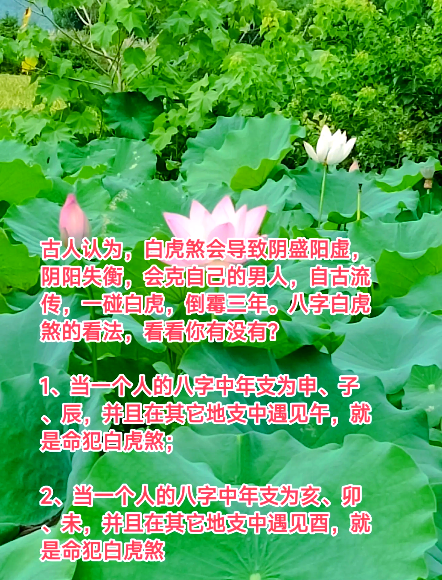 人犯煞有什么表现
