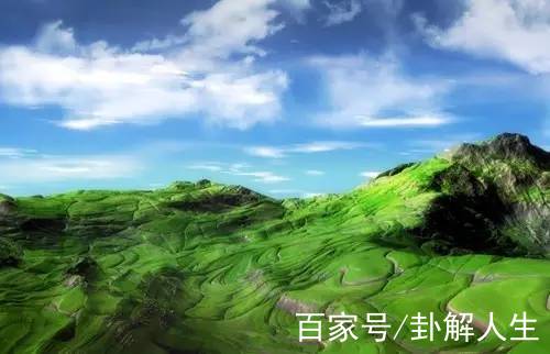 从坟头草看后代