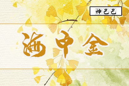 海中金命五行缺什么