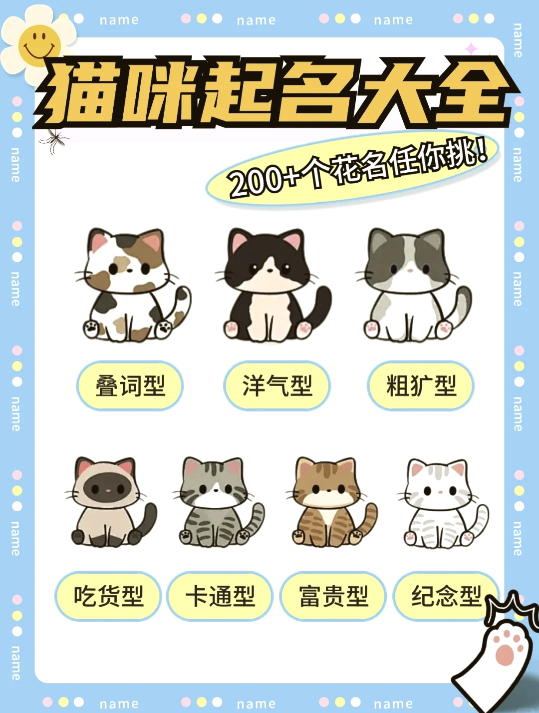 科普展现:小母猫名字（小母猫名字可爱）