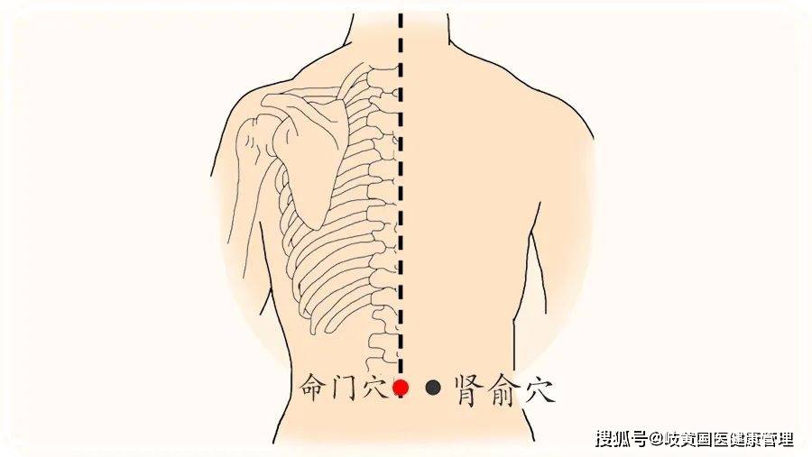 命门在哪个位置