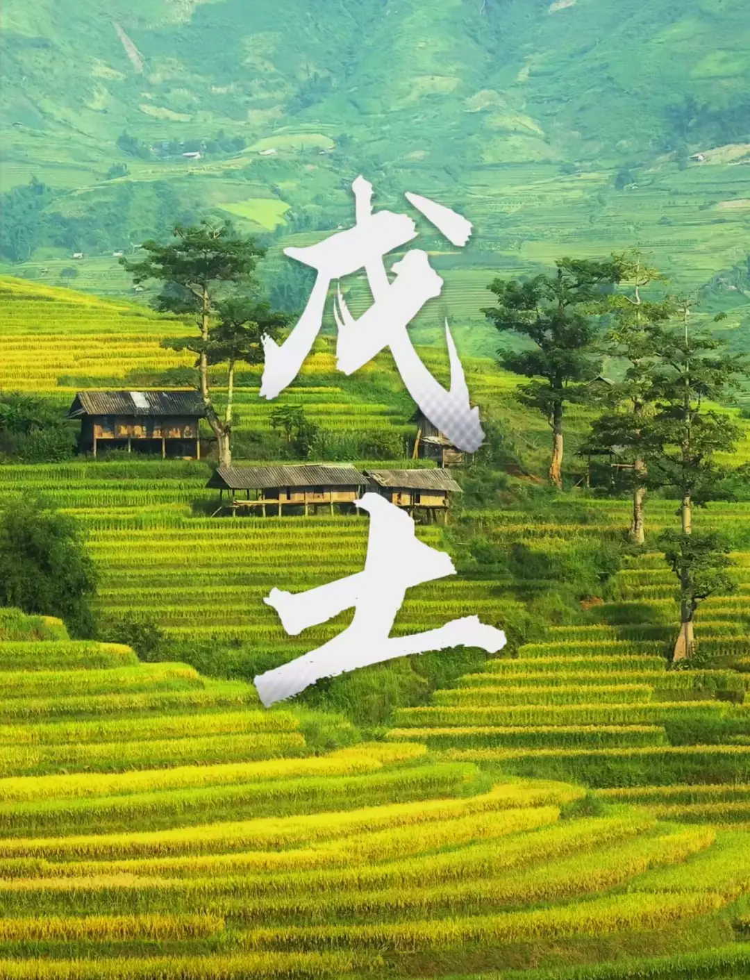 科普展现:什么旺土命（什么旺土命财运）
