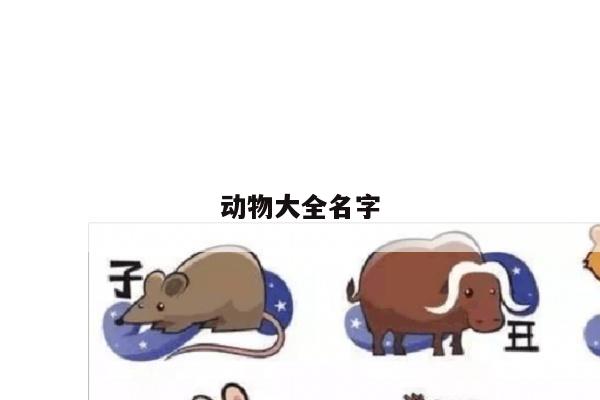 动物大全名字