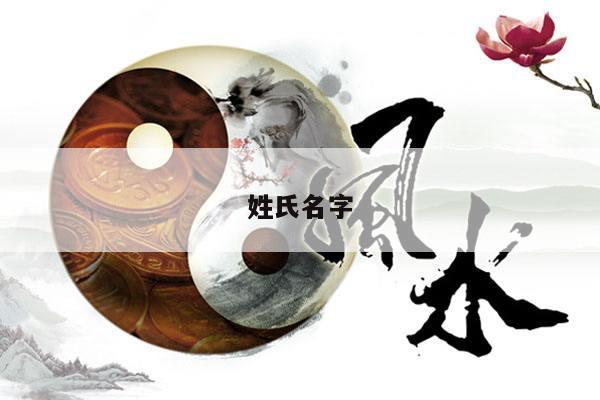 姓氏名字