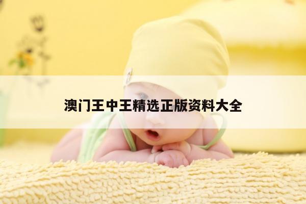 澳门王中王精选正版资料大全