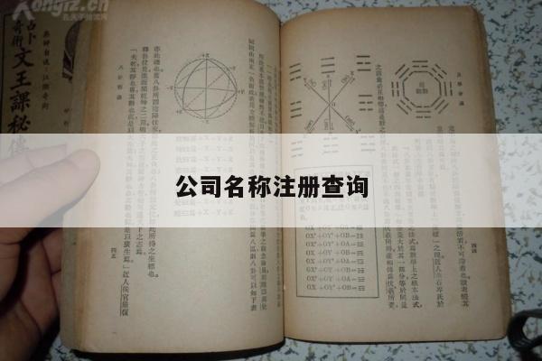 公司名称注册查询