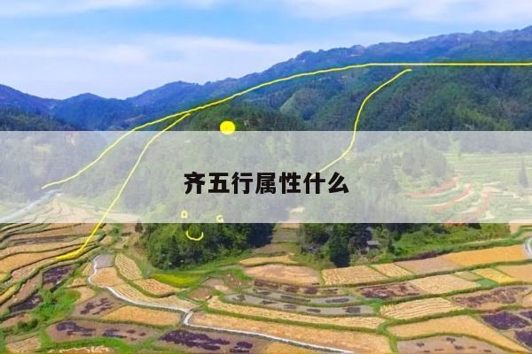 齐五行属性什么