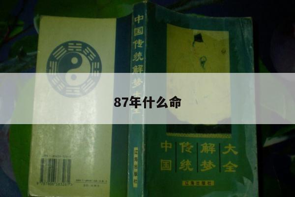 87年什么命