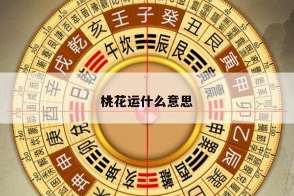 桃花运什么意思