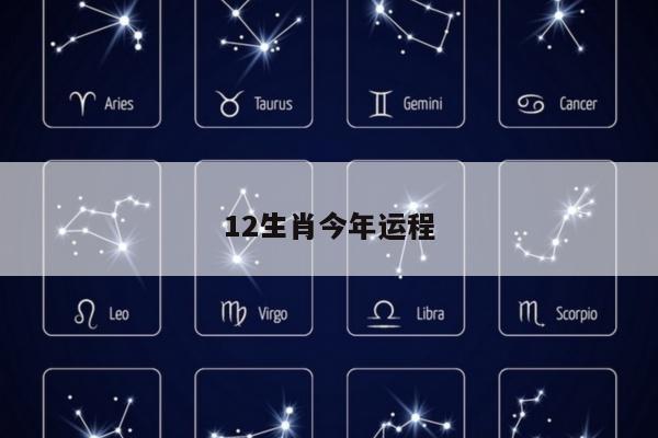 12生肖今年运程