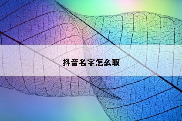 抖音名字怎么取
