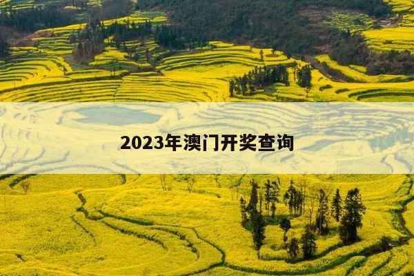 2023年澳门开奖查询