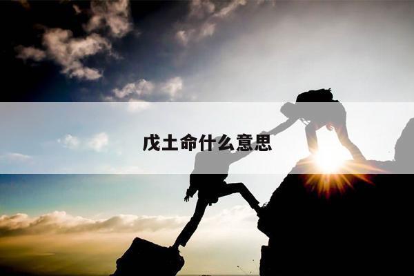 戊土命什么意思