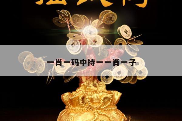 一肖一码中持一一肖一子