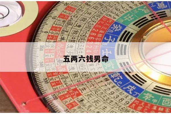 五两六钱男命