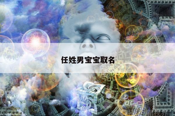 任姓男宝宝取名