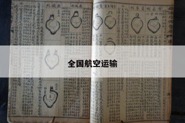 全国航空运输