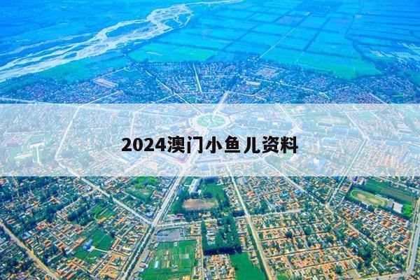 2024澳门小鱼儿资料