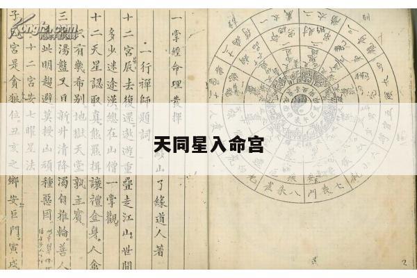 天同星入命宫