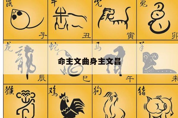命主文曲身主文昌