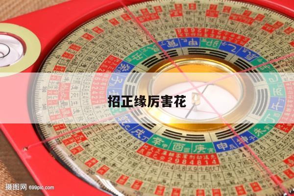 招正缘厉害花
