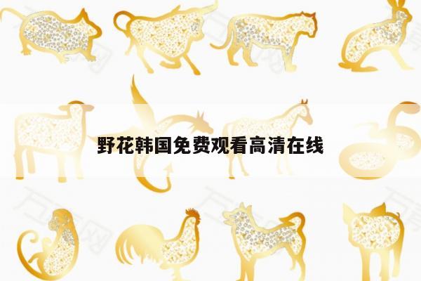 野花韩国免费观看高清在线