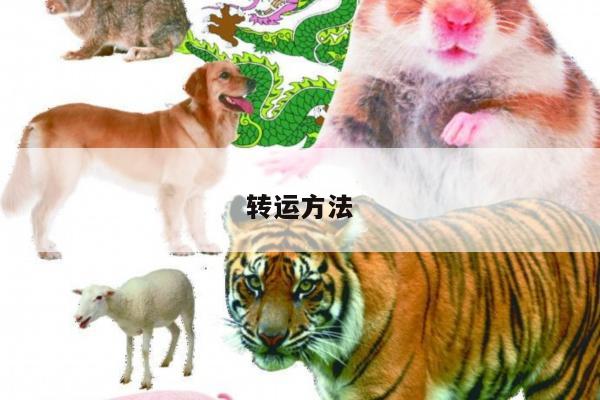 转运方法