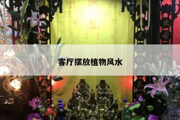 客厅摆放植物风水