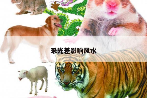 采光差影响风水