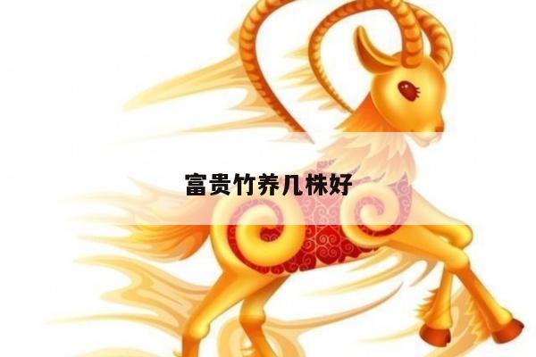 富贵竹养几株好