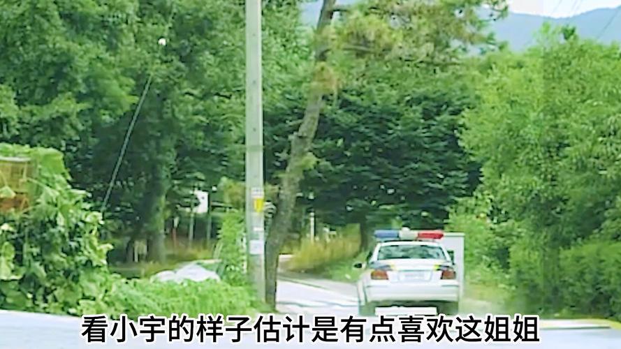 电影失踪韩国,电影失踪韩国中字