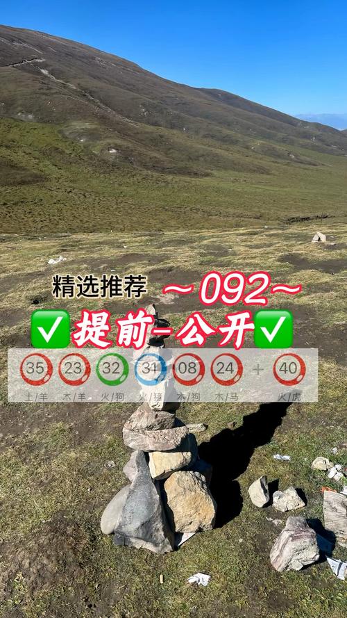 新澳门九点半期期免费公开,新澳门九点半9点半网站开奖