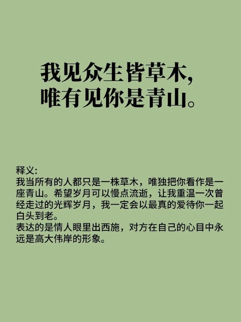 情人眼里出西施,情人眼里出西施是什么意思