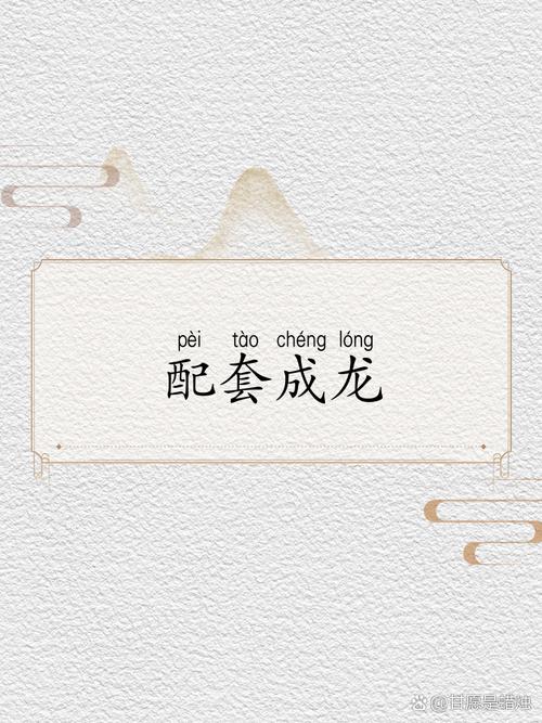 2024澳门一肖一码配套成龙,2024澳门一肖一码配套成龙1