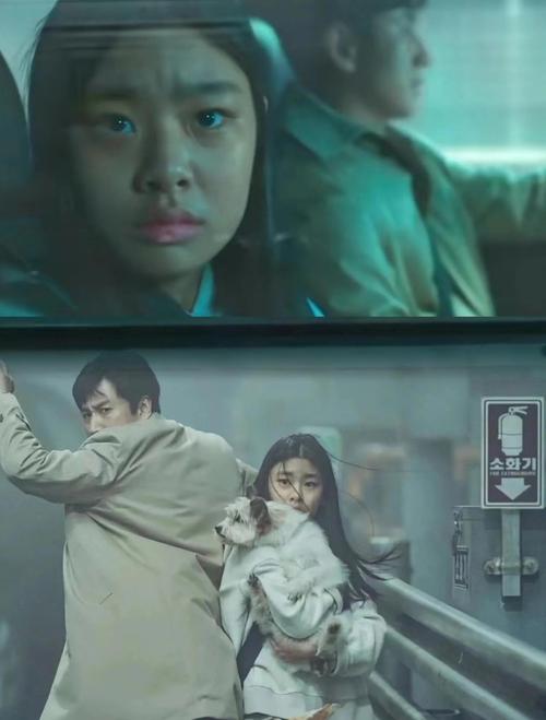 2023韩国大尺度电影,2023韩国大尺度电影在线观看