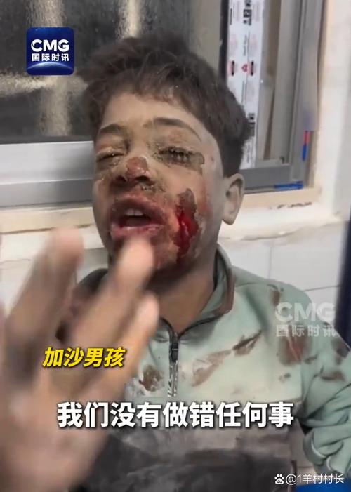 加沙一男婴出生前妈妈遇难,加沙一男婴出生前妈妈遇难一