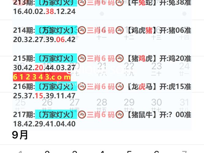 新澳门最准免费全年资料,