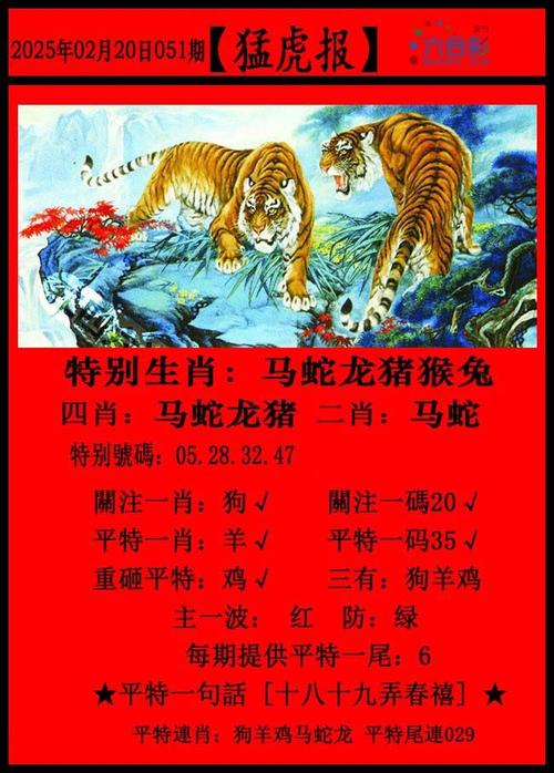 澳门今天最新资料,澳门今天最新资料2024一2025