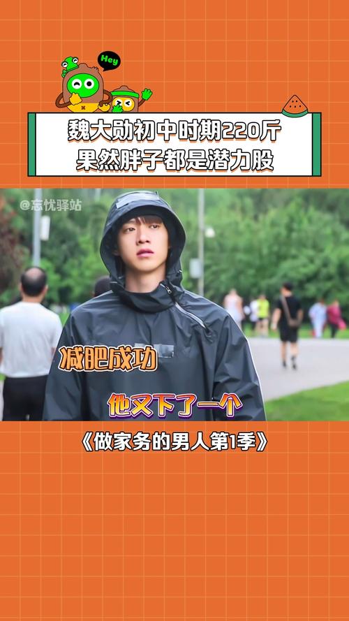 做家务的男人第一季免费观看完整版高清,做家务的男人第一季免费观看完整版高清策驰
