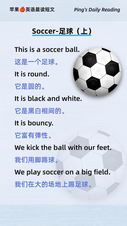 各类体育赛事,各类体育赛事英语
