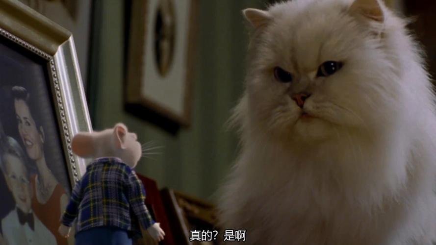 精灵鼠小弟3动画片,精灵鼠小弟3动画片免费观看