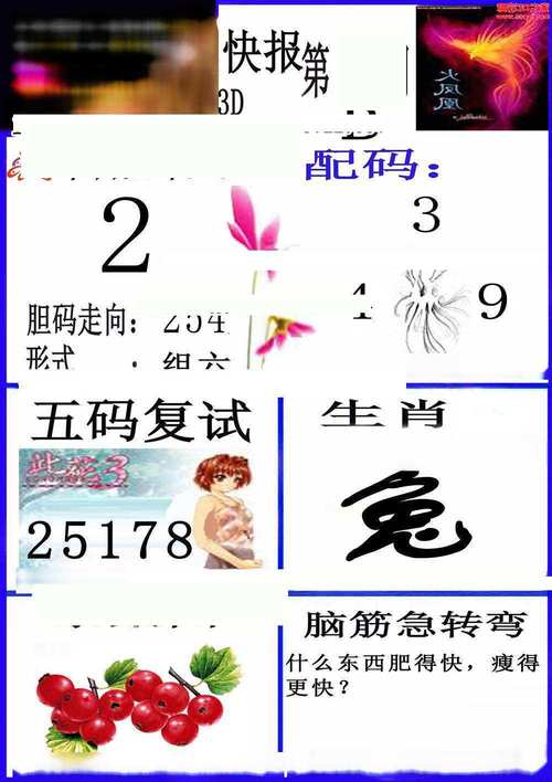 四肖中特_香港老鼠报,四肖选一肖香港期期中