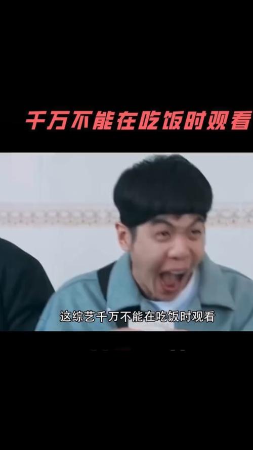 新游记在线观看综艺免费观看高清,新游记在线观看综艺免费观看高清版