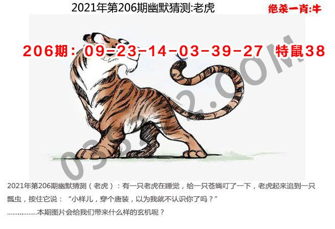 今天澳门晚上开什么,今天澳门晚上开什么码009