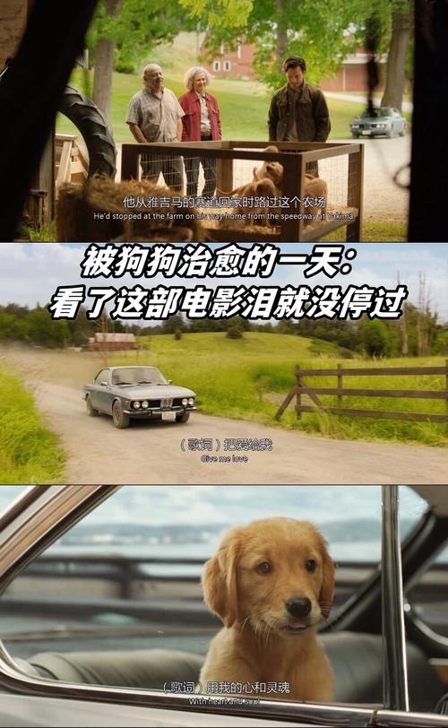 解决方案 第10页