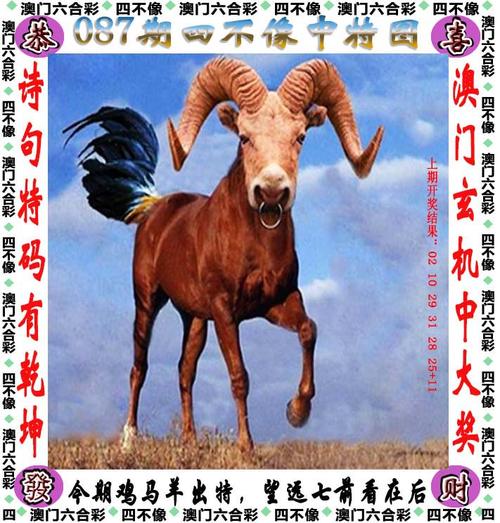 澳门特马今天出什么,澳门特马今天出什么生肖号码